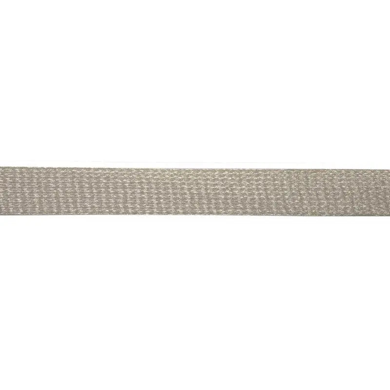 17mm Silver Metallised Polyester Flat Braid wyedean