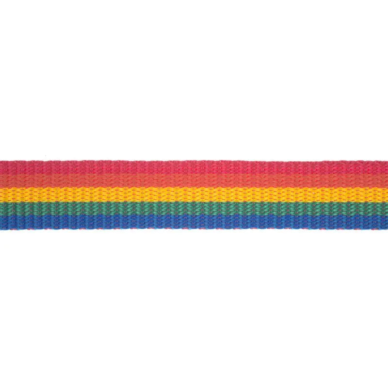 19mm Rainbow Striped Polyproylene Double Plain Weave Webbing wyedean