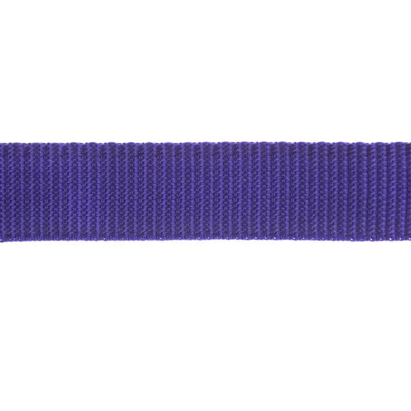 25mm Purple Polypropylene Double Plain Weave Webbing Wyedean