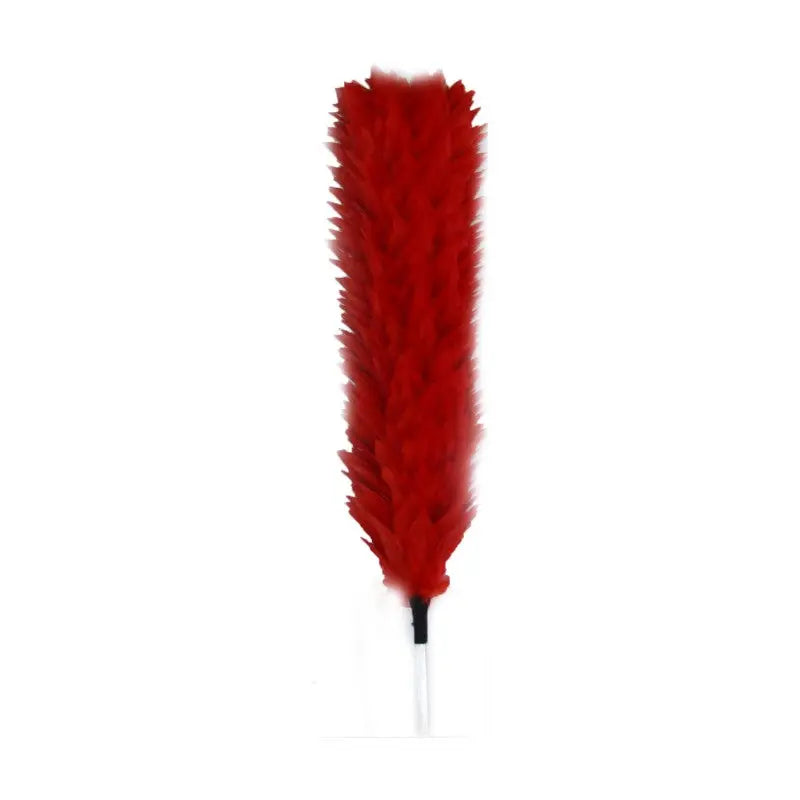 Coldstream Guards, Officers Red Feather Plume / Hackle British Army wyedean