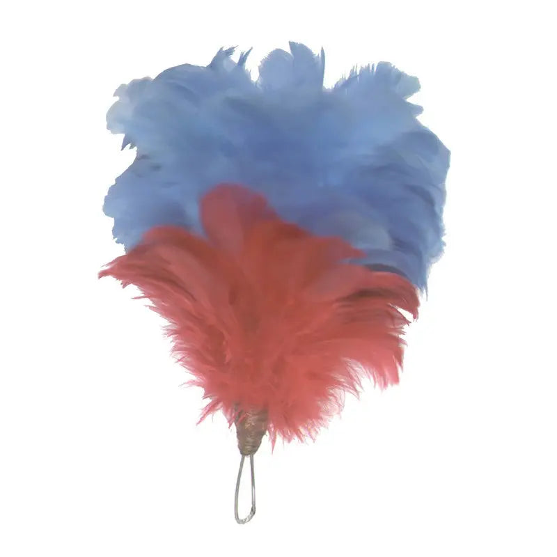 Liverpool Irish Rifles Red/Blue Feather Plume / Hackle British Army wyedean