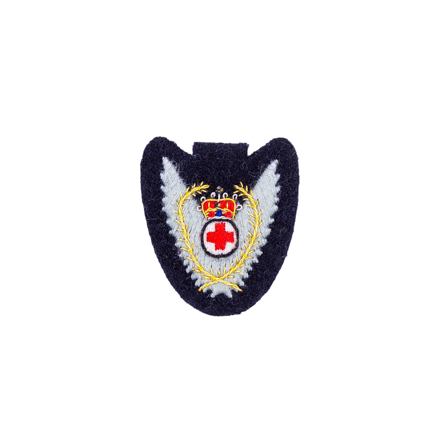 Aero-medical PMRAFNS , RAF Branch Service Badge