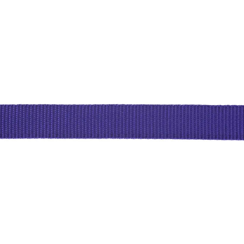 21mm Lavender Purple Polypropylene Double Plain Weave Webbing wyedean
