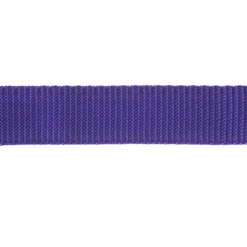 25mm  Purple  Polypropylene  Double Plain Weave Webbing wyedean