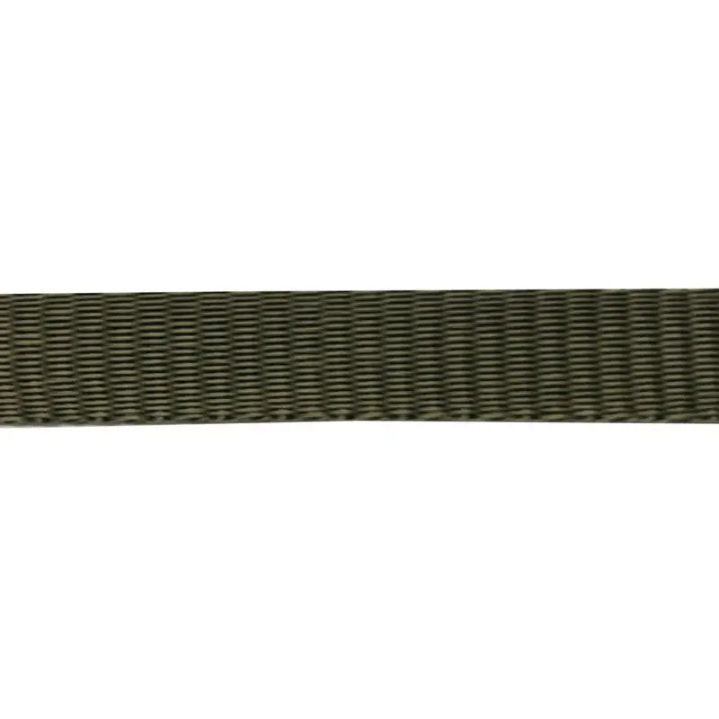 25mm Army Green Polypropylene Self Binding Plain Weave Webbing wyedean