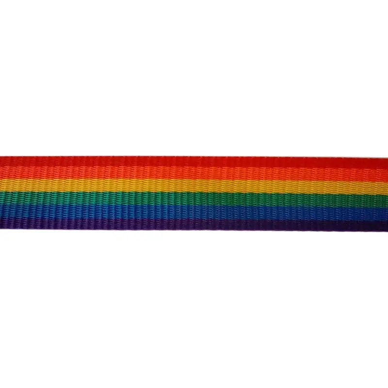 25mm Pride Striped Polyproylene Double Plain Weave Webbing wyedean