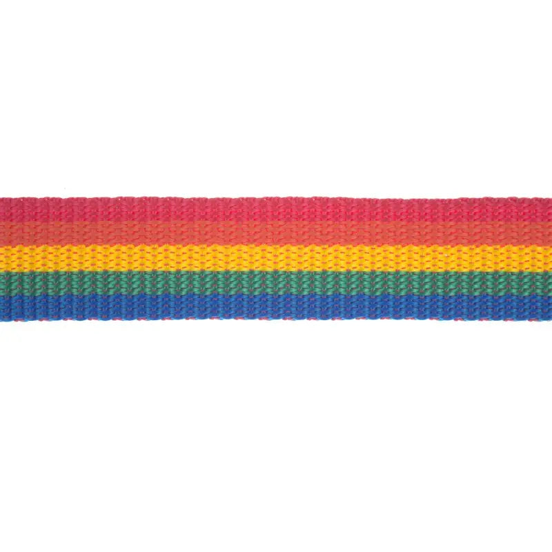 25mm Rainbow Striped Polyproylene Double Plain Weave Webbing wyedean