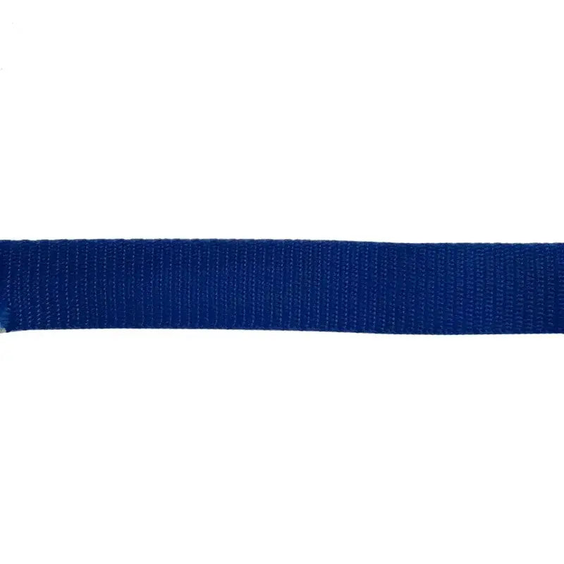 25mm Royal Blue Polypropylene Double Plain Weave Webbing wyedean