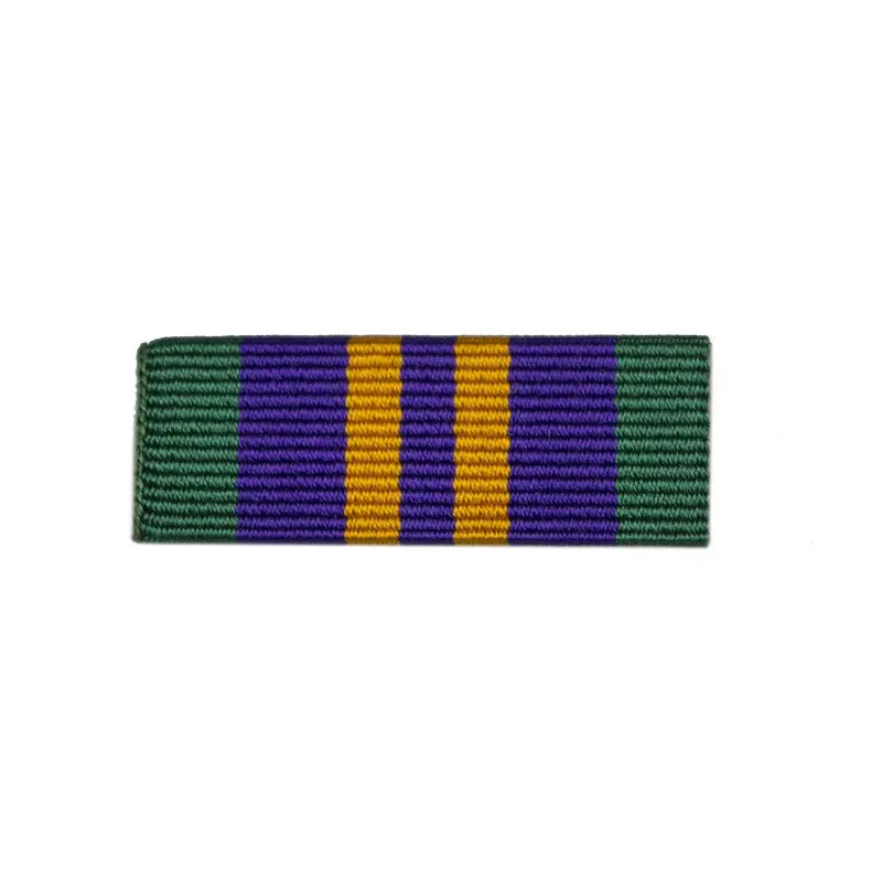32mm Accumulative Campaign Service Medal 2011 Medal Ribbon Slider wyedean