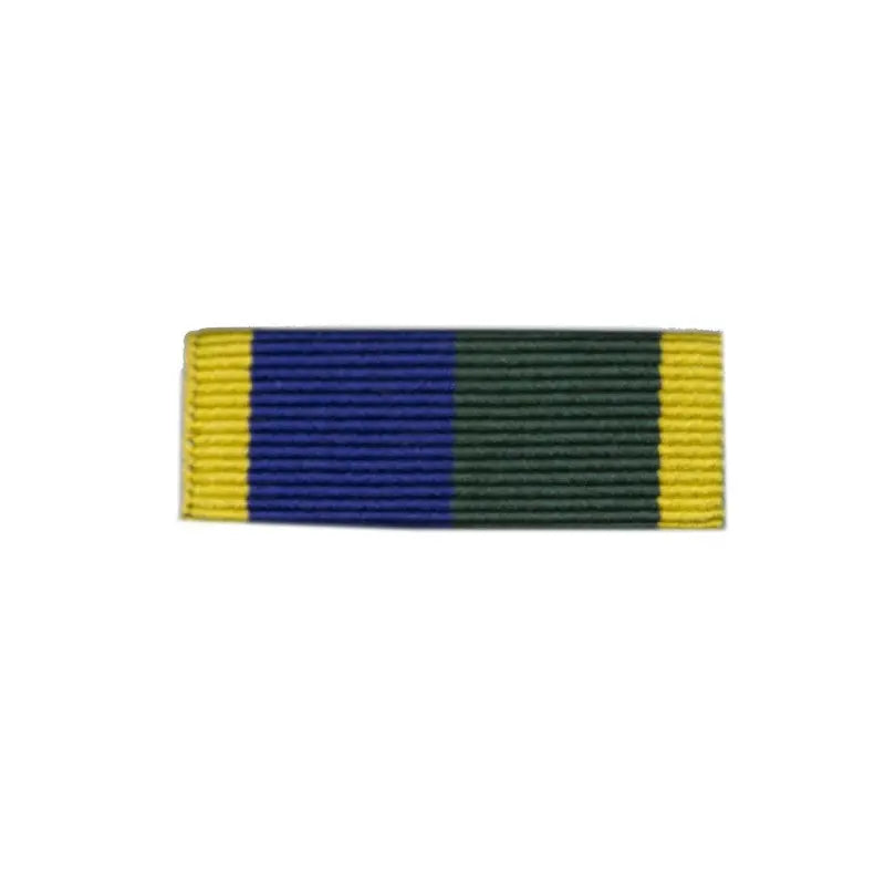 32mm Efficiency Medal T&AVR 1969 Medal Ribbon Slider wyedean