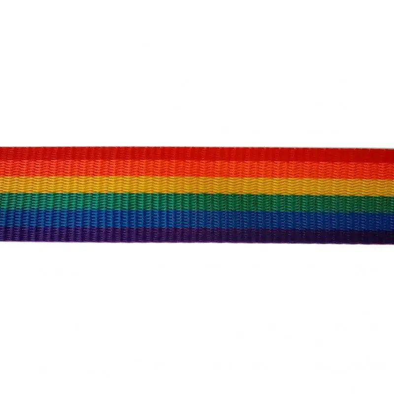 32mm Pride Striped Polyproylene Double Plain Weave Webbing wyedean