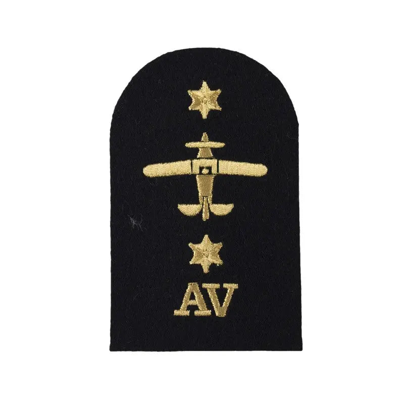 Avionics (AV) Leading Rate Royal Navy Badge wyedean
