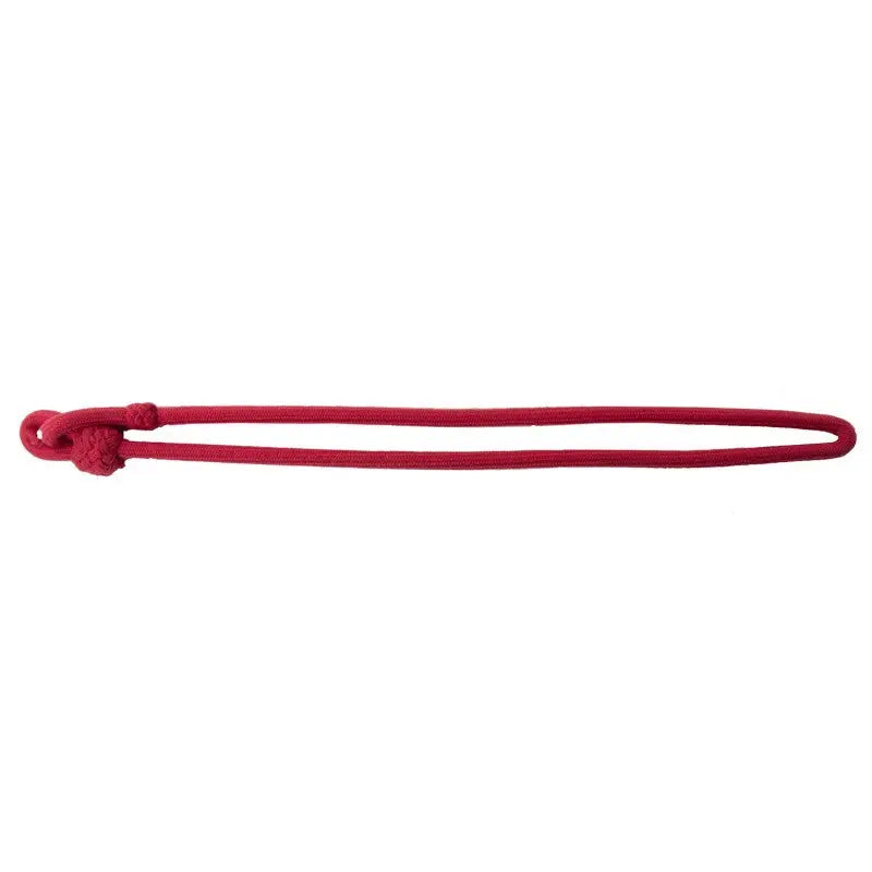 Corps of Army Music (CAMUS) Single Cord Red Lanyard British Army wyedean