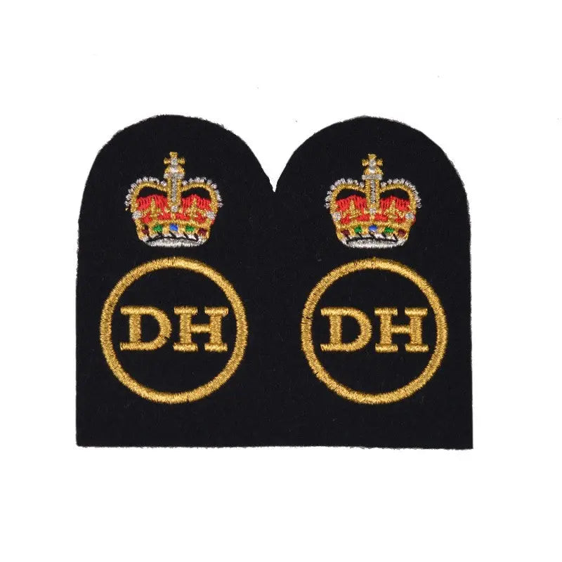 Dental Hygienist (DH) Chief Petty Officer (CPO) Royal Navy Badges wyedean