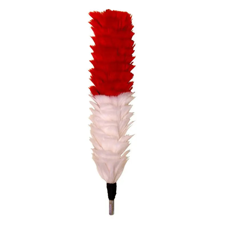 Gordon Highlanders Royal Regiment of Scotland 7 SCOTS Red Feather Plume / Hackle British Army wyedean
