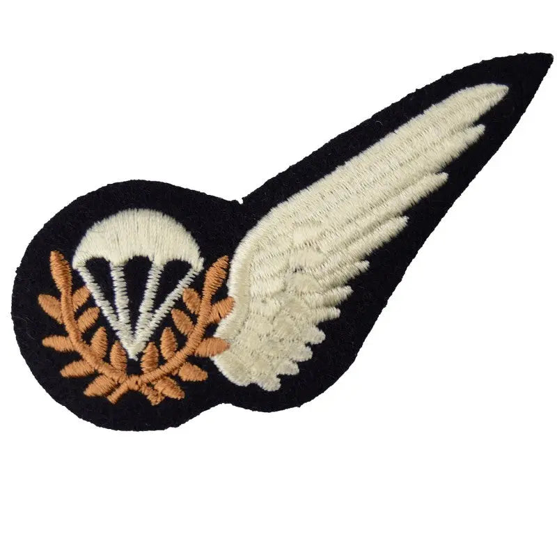 Parachute Training InstructorQualificationRoyal Air Force Badge wyedean