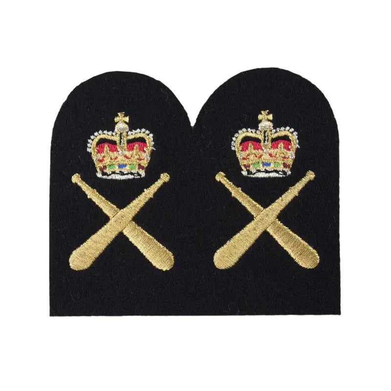 Physical Trainer  Chief Petty Officer (CPO) Royal Navy Badge wyedean