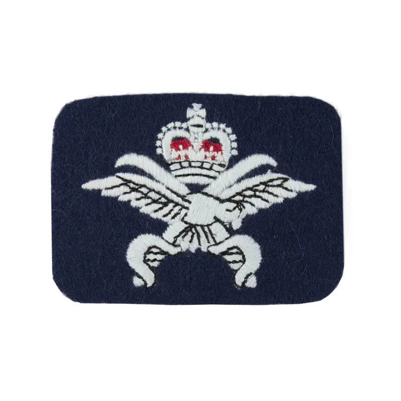 Physical Training Instructor (PTI) Qualification Badge Royal Air Force (RAF) wyedean