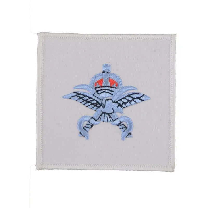 Physical Training Instructor (PTI) Qualification Royal Air Force Badge wyedean