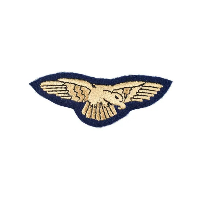 Preliminary Flying Pilot Qualification Badge Royal Air Force (RAF) wyedean