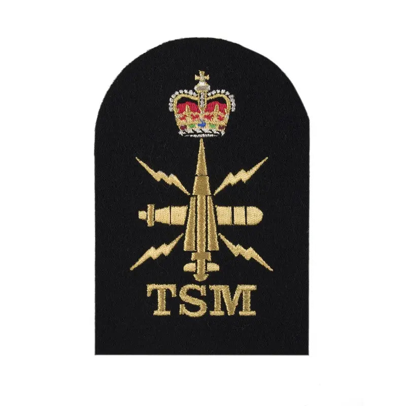 Submarine Tactical (TSM) Petty Officer Royal Navy Badges wyedean