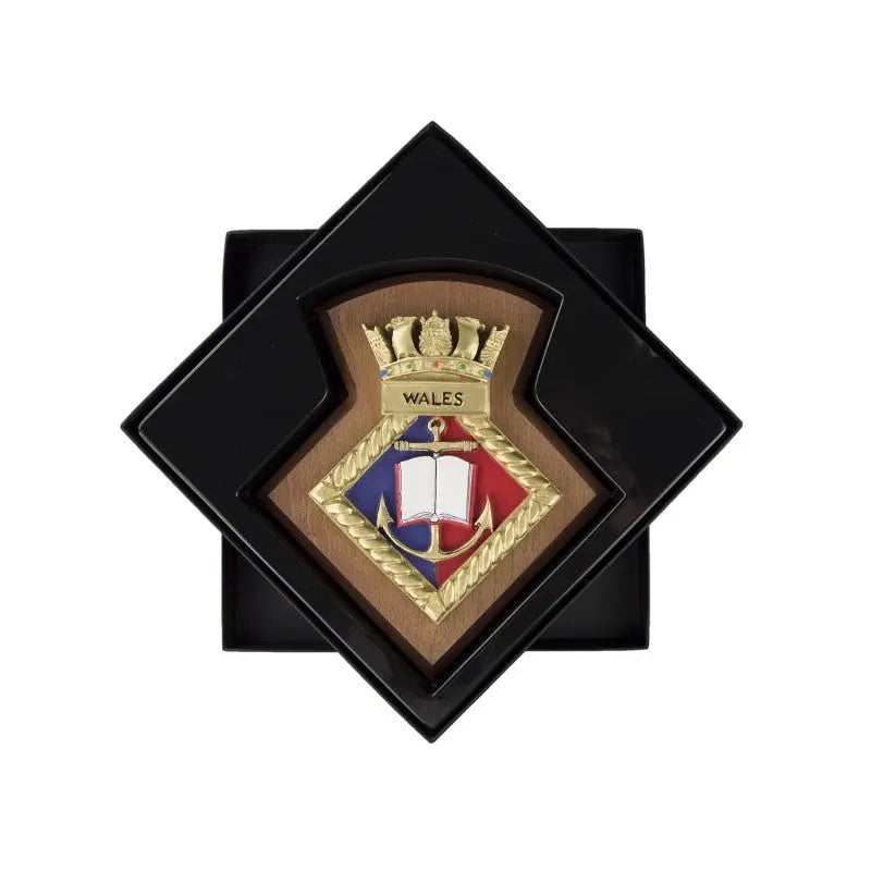 Wales URNU Wales University Royal Naval Unit Crest / Plaque wyedean