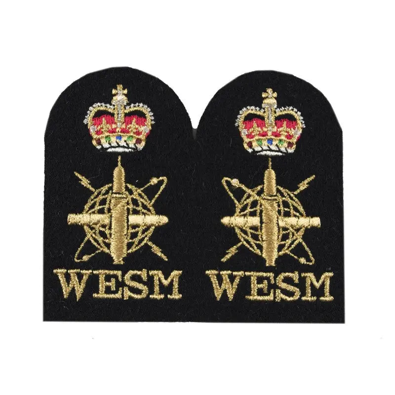 Weapon Engineering Branch Submarine Sensor Chief Petty Officer Royal Navy Badge wyedean